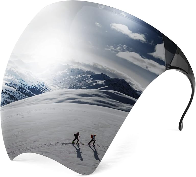 Arctic Visor Shades